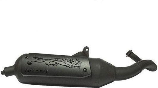 Εξάτμιση Malossi για Wild Lion για Piaggio Typhoon 50 / Energy MC3 DD 50