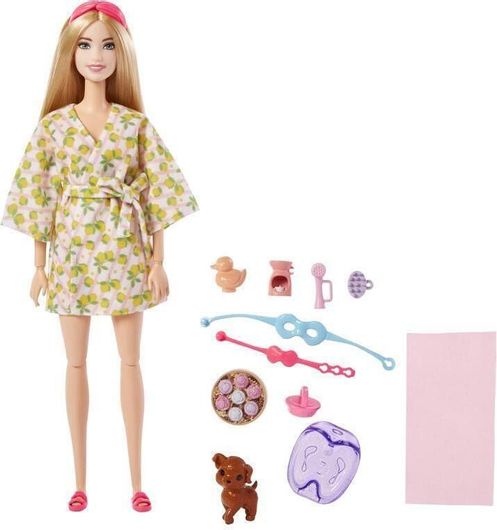 Κούκλα Barbie Mattel Spa Day για 3+ Ετών