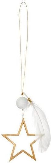 Χριστουγεννιάτικο Στολίδι Raeder Αστέρι Χρυσό με Φτερό 10x6cm