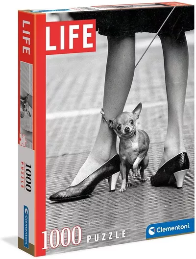 Puzzle Life Collection Chihuahua 2D 1000 Κομμάτια