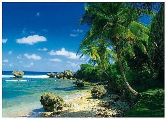 Puzzle 2D 1000 Κομμάτια