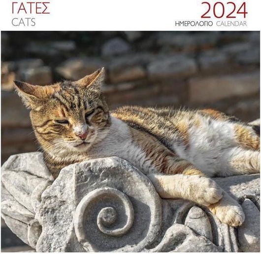 Hμερολόγιο Μίλητος Επιτοίχιο 2024 Γάτες Καφέ