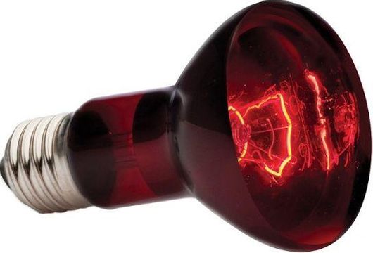 Λάμπα για Ενυδρείο Ερπετών Exo Terra Infrared Basking Spot 100W