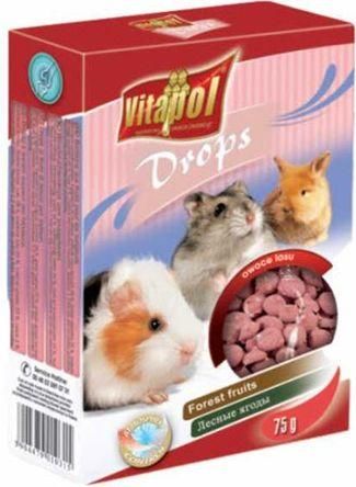 Τροφή για Τρωκτικά Vitapol Λιχουδιά 75gr