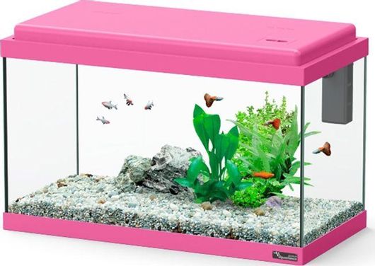 Ενυδρείο Ψαριών Aquatlantis Funny Fish 50 33.5lt 50x25x32cm Ροζ
