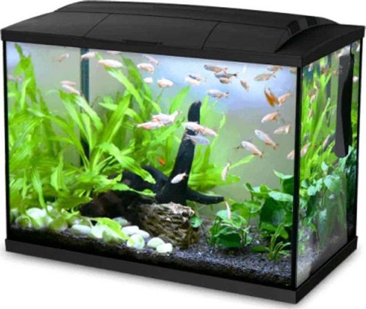 Ενυδρείο Ψαριών Hailea K-60 60lt με Φωτισμό & Φίλτρο 59x31x45.6cm Μαύρο