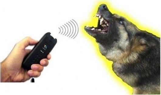 Συσκευή Απώθησης Σκύλου με Υπέρηχους & Φακό