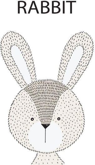 Αφίσα Rabbit 70x100cm