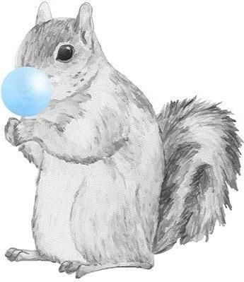 Αφίσα Σκιουράκι Με Μπλε Τσιχλόφουσκα 30x40cm