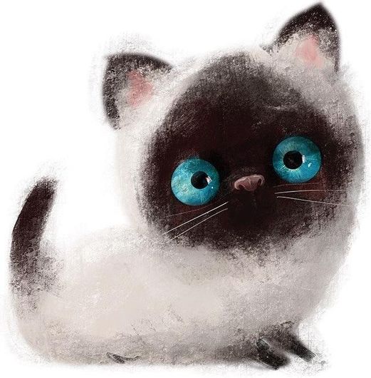 Αφίσα Γατούλα Σιαμέζα 90x90cm