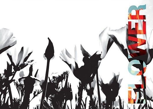 Αφίσα Κήπος με Λουλούδια 70x50cm