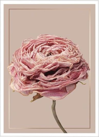 Αφίσα Romantic Antike Roses σε Λευκή Κορνίζα Ξύλου Πεύκου 15x20cm