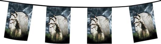 Αποκριάτικη Γιρλάντα Boland Σημαιάκια Νύχτα Τρόμου 8m