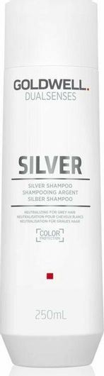 Σαμπουάν Goldwell Dualsenses Silver Διατήρησης Χρώματος & Λάμψης για Όλους τους Τύπους Μαλλιών 250ml