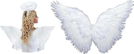 Αποκριάτικα Φτερά Αγγέλου Τσα-Φαλ Α5450 Με Πούπουλα 50x37cmΛευκό