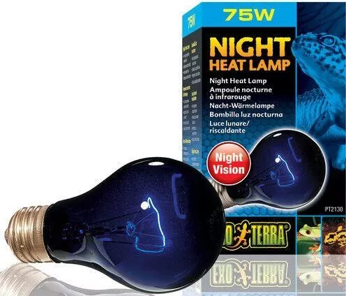 Λάμπα για Ενυδρεία Ερπετών Exo Terra PT2130 Νυκτός 75W
