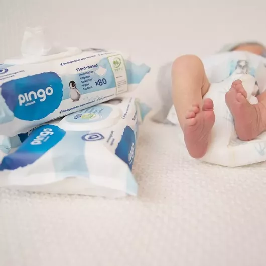Μωρομάντηλα Pingo Wet Wipes Χωρίς Άρωμα - Οργανικά - Υποαλλεργικά 80τμχ 1+1 Δώρο