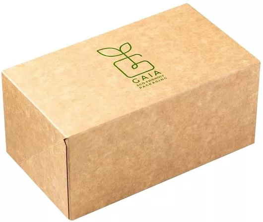 Κουτιά Burger Σετ 25 Χάρτινα 21x12.5x10cm Gaia
