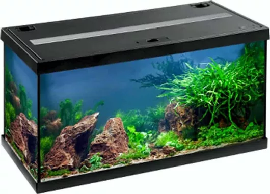 Ενυδρείο Ψαριών Eheim Aquastar 54 LED  54lt με Φωτισμό, Θερμαντήρα & Φίλτρο 60x30x30cm Μαύρο