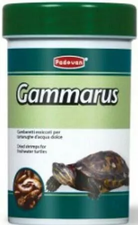 Τροφή Ερπετού Padovan Gammarus για Χελώνες PP00176 100ml