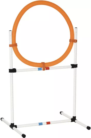 Pawhut Agility Σετ Εκπαιδευτικό Παιχνίδι Σκύλου Σκύλου 74.5εκ Λευκό