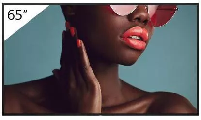 Sony Bravia Professional Displays Public Display LED 65" HDR