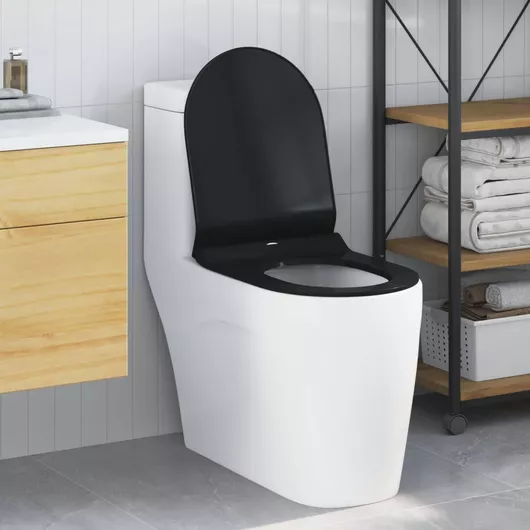 vidaXL Λεκάνη Δαπέδου Μαύρο 8721288756343