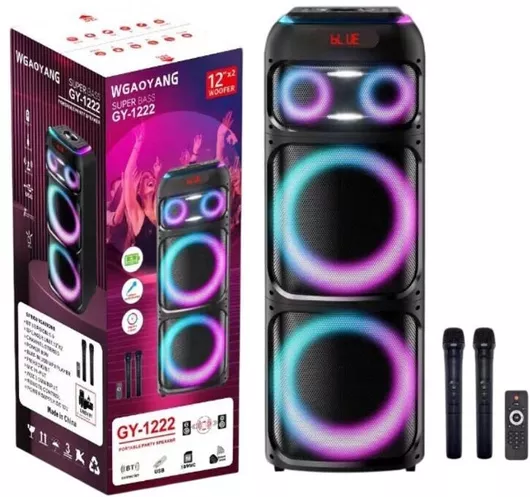 Σύστημα Karaoke με Ασύρματα Μικρόφωνα WGY-1222Μαύρο Χρώμα