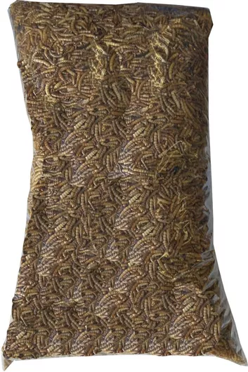 Αποξηραμένα Aλευροσκούληκα Mealworm Σακουλάκι 1000γρ