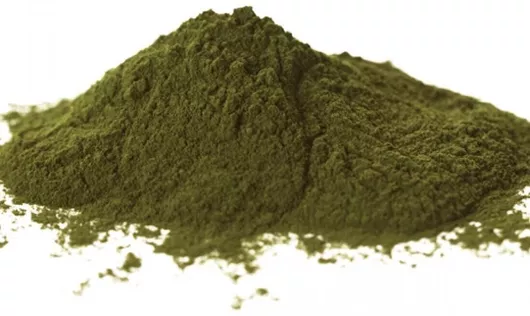 HealthTrade Kelp σε Σκόνη 5000gr