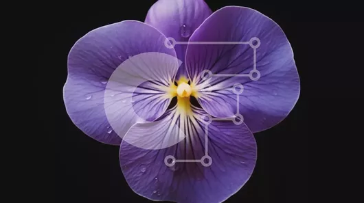 Intra Συλλεκτικό Ξύλινο Παζλ Plywood  4mm - Μωβ λουλούδι με σταγονίδια νερού Σε Ξύλινο Κουτί - Διαστάσεις: 10x10 cm – 25 κομμάτια