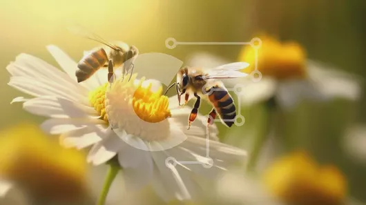 Intra Συλλεκτικό Ξύλινο Παζλ Plywood  4mm - Μέλισσες που τρέφονται με λουλούδι μαργαρίτας Σε Ξύλινο Κουτί - Διαστάσεις: 10x10 cm – 25 κομμάτια