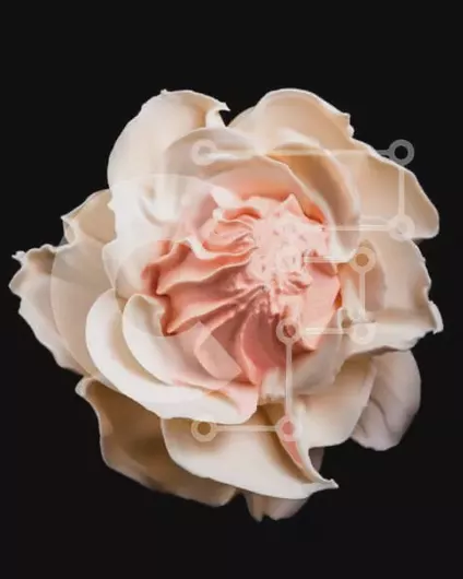 Intra Συλλεκτικό Ξύλινο Παζλ Plywood  4mm - Λευκό λουλούδι με ροζ πάγωμα Σε Ξύλινο Κουτί - Διαστάσεις Puzzle: 10x10 cm – 25 κομμάτια