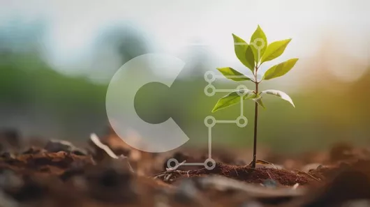 Intra Συλλεκτικό Ξύλινο Παζλ Plywood  4mm - Μικρό πράσινο φυτό που φυτρώνει από το έδαφος με δέντρα στο φόντο Σε Ξύλινο Κουτί - Διαστάσεις: 10x10 cm – 25 κομμάτια