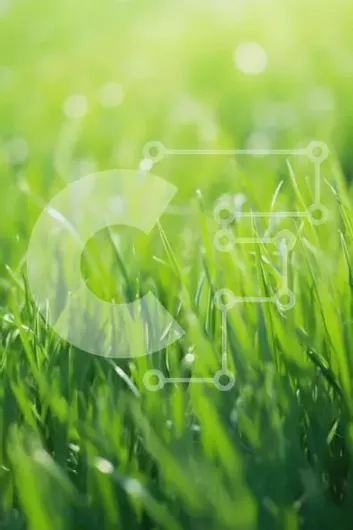 Intra Συλλεκτικό Ξύλινο Παζλ Plywood  4mm - Κοντινό πλάνο της πλούσιας πράσινης χλόης με την αντανάκλαση του ηλιακού φωτός Σε Ξύλινο Κουτί - Διαστάσεις: 10x10 cm – 25 κομμάτια