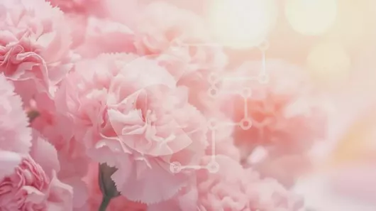 Intra Συλλεκτικό Ξύλινο Παζλ Plywood  4mm - Ροζ γαρύφαλλο μπουκέτο - σύμβολο αγάπης και ρομαντισμού Σε Ξύλινο Κουτί - Διαστάσεις: 10x10 cm – 25 κομμάτια