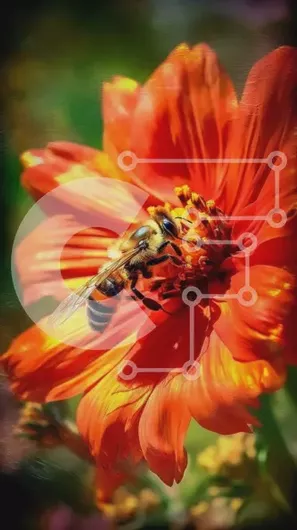 Intra Συλλεκτικό Ξύλινο Παζλ Plywood  4mm - Εκπληκτική εικόνα ενός κόκκινου λουλουδιού με μια μέλισσα Σε Ξύλινο Κουτί - Διαστάσεις: 10x10 cm – 25 κομμάτια