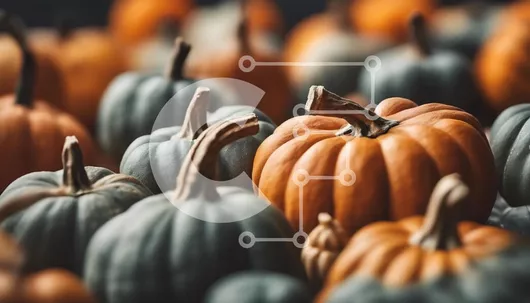 Intra Συλλεκτικό Ξύλινο Παζλ Plywood  4mm - Συλλογή από κολοκύθες σε φθινοπωρινά χρώματα Σε Ξύλινο Κουτί - Διαστάσεις Puzzle: 10x10 cm – 25 κομμάτια