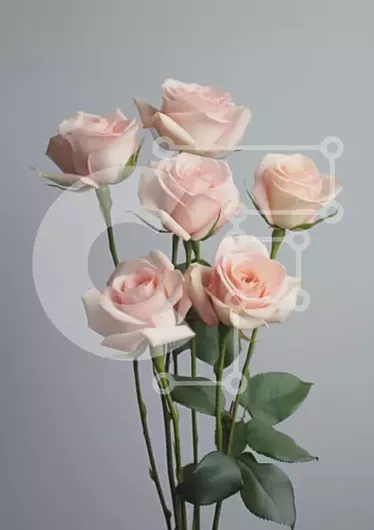 Intra Συλλεκτικό Ξύλινο Παζλ Plywood  4mm - Μπουκέτο με απαλά ροζ τριαντάφυλλα Σε Ξύλινο Κουτί - Διαστάσεις Puzzle: 10x10 cm – 25 κομμάτια