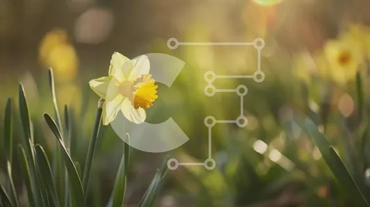 Intra Συλλεκτικό Ξύλινο Παζλ Plywood  4mm - Μονό κίτρινο λουλούδι σε ένα χωράφι με πράσινο γρασίδι Σε Ξύλινο Κουτί - Διαστάσεις: 10x10 cm – 25 κομμάτια