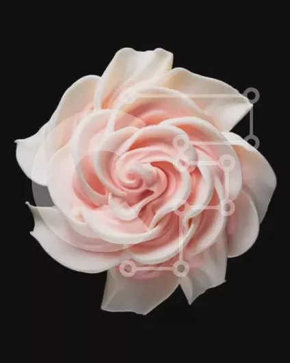 Intra Συλλεκτικό Ξύλινο Παζλ Plywood  4mm - Ροζ λουλούδι με λευκό πάγωμα σε μαύρο φόντο Σε Ξύλινο Κουτί - Διαστάσεις Puzzle: 10x10 cm – 25 κομμάτια