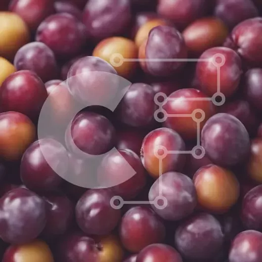 Intra Συλλεκτικό Ξύλινο Παζλ Plywood  4mm - Κοντινό πλάνο των Deep Purple Ripe Plums Σε Ξύλινο Κουτί - Διαστάσεις: 10x10 cm – 25 κομμάτια