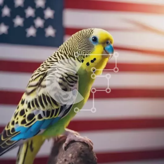 Intra Συλλεκτικό Ξύλινο Παζλ Plywood  4mm - Πράσινος και κίτρινος παπαγάλος στην αμερικανική σημαία Σε Ξύλινο Κουτί - Διαστάσεις: 10x10 cm – 25 κομμάτια