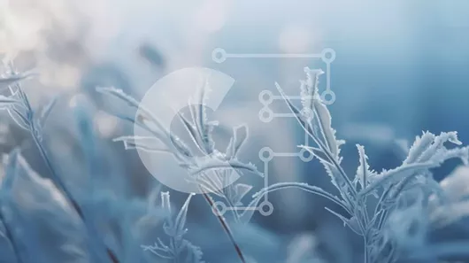 Intra Συλλεκτικό Ξύλινο Παζλ Plywood  4mm - Κοντινό πλάνο παγωμένων χόρτων Σε Ξύλινο Κουτί - Διαστάσεις: 10x10 cm – 25 κομμάτια