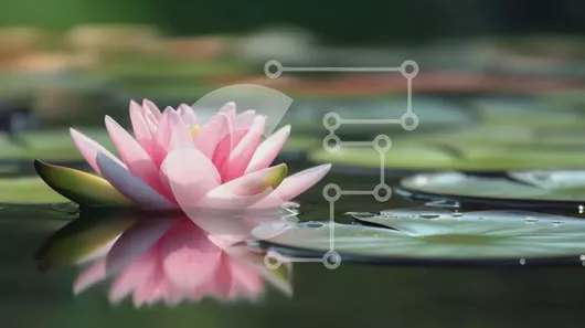 Intra Συλλεκτικό Ξύλινο Παζλ Plywood  4mm - Όμορφη εικόνα του ροζ λουλουδιού λωτού σε μια λίμνη με μαξιλαράκια κρίνου στο φόντο Σε Ξύλινο Κουτί - Διαστάσεις: 10x10 cm – 25 κομμάτια