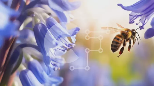 Intra Συλλεκτικό Ξύλινο Παζλ Plywood  4mm - Μέλισσα αιωρείται μπροστά από μπλε λουλούδια Σε Ξύλινο Κουτί - Διαστάσεις: 10x10 cm – 25 κομμάτια