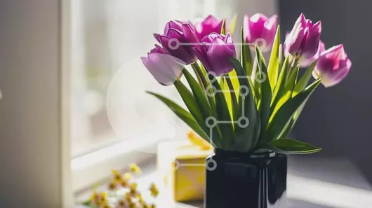 Intra Συλλεκτικό Ξύλινο Παζλ Plywood  4mm - Μωβ τουλίπες σε μαύρο βάζο με κουτί δώρου Σε Ξύλινο Κουτί - Διαστάσεις: 10x10 cm – 25 κομμάτια