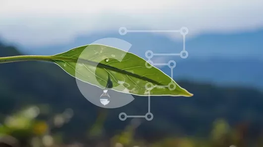 Intra Συλλεκτικό Ξύλινο Παζλ Plywood  4mm - Πράσινο φύλλο με σταγονίδια νερού Σε Ξύλινο Κουτί - Διαστάσεις: 10x10 cm – 25 κομμάτια