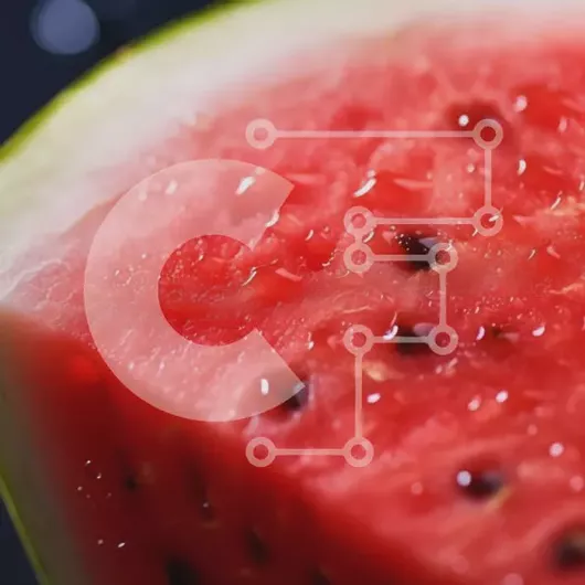 Intra Συλλεκτικό Ξύλινο Παζλ Plywood  4mm - Φρέσκια φέτα καρπούζι και άλλα φρούτα Σε Ξύλινο Κουτί - Διαστάσεις: 10x10 cm – 25 κομμάτια