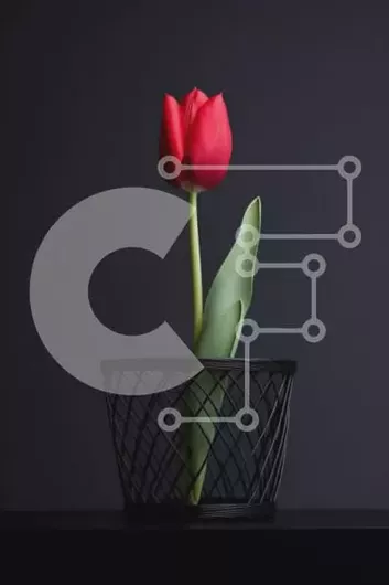 Intra Συλλεκτικό Ξύλινο Παζλ Plywood  4mm - Μονό κόκκινο λουλούδι τουλίπας σε μαύρο καλάθι Σε Ξύλινο Κουτί - Διαστάσεις: 10x10 cm – 25 κομμάτια